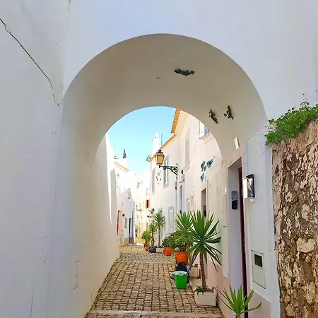 Garden Hill Haven Old Town Retreat With Sea Views & Free Parking Lägenhet *